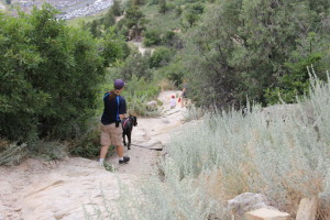 Two Year Old Hiker