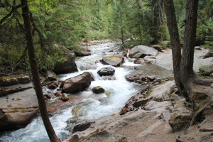 Avalanche Creek