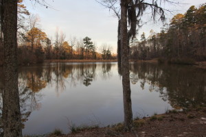 Sherling Lake ... It is beautiful!