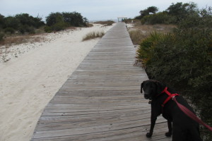 Walkway to the Beach