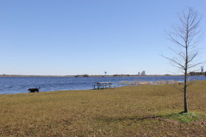 Gulf Shores Dog Park/Beach