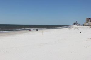 View from the Pier