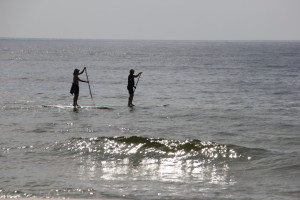 Paddle Boarding