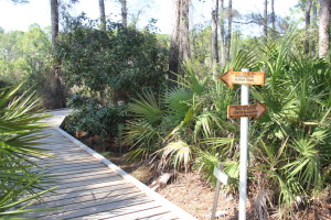 Freshwater Marsh Trail