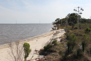 View From Bay Trail