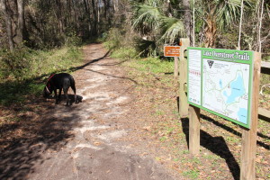 2.9 mile hiking / biking loop