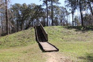 Mound 1