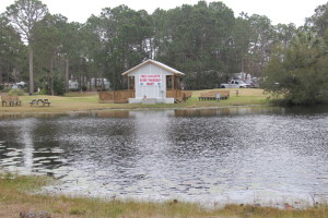 Amphitheater 