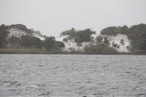 Campbell Lake Coastal Dune Lake