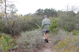 Deer Track Trail