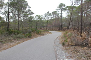 Pedestrian / Bicycle Path