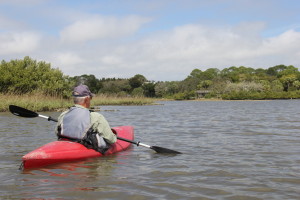 Tidal Salt Marsh