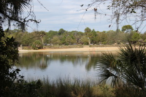 Lake Osprey Trail