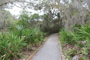 Lester Finley Trail