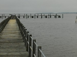 Observation Dock