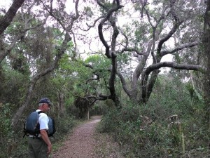 Cemetery Trail