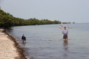 Cocoa Plum Beach