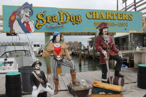 Sea Dog Charters