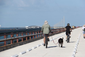 Biking the 7 Mile Bridge