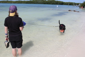 Sombrero Beach