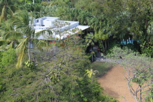 Hemingway's House from the Lighthouse